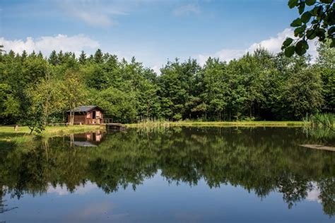 forelvijver ardennen|Visvijver van Trois